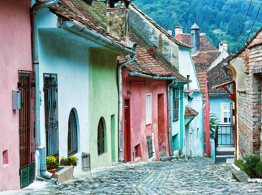 Sighisoara, Romania jigsaw puzzle in Street View puzzles on TheJigsawPuzzles.com