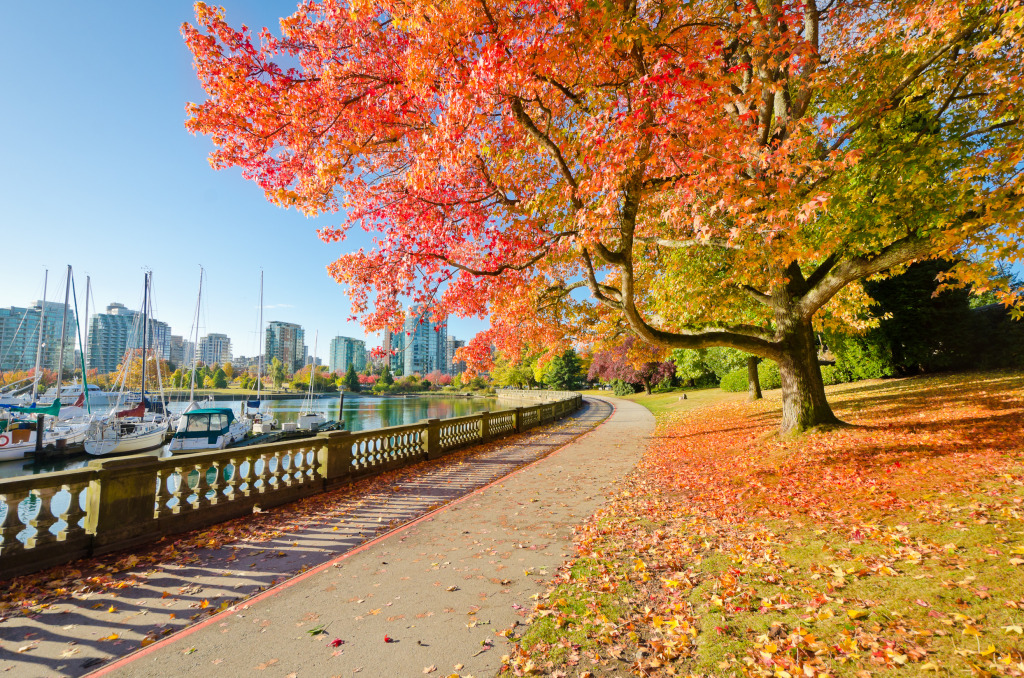 Stanley Park in Vancouver, Canada jigsaw puzzle in Great Sightings puzzles on TheJigsawPuzzles.com