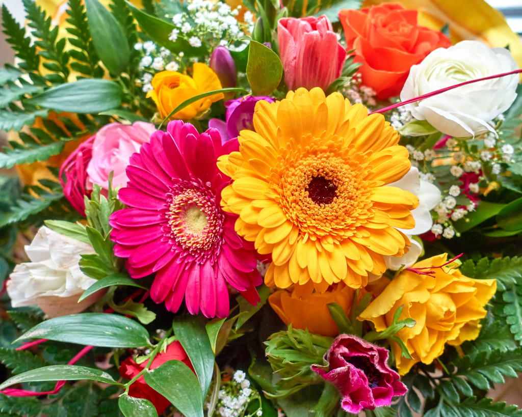 Colorful Gerbera Closeup jigsaw puzzle in Puzzle of the Day puzzles on TheJigsawPuzzles.com