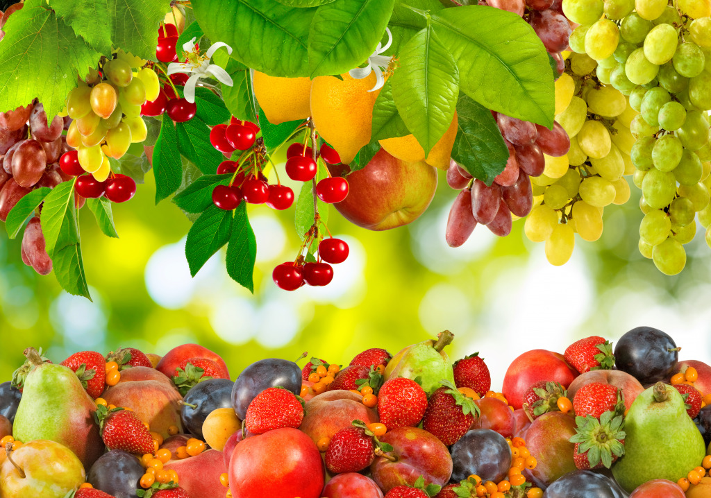 Different Fruits in a Garden jigsaw puzzle in Fruits & Veggies puzzles on TheJigsawPuzzles.com