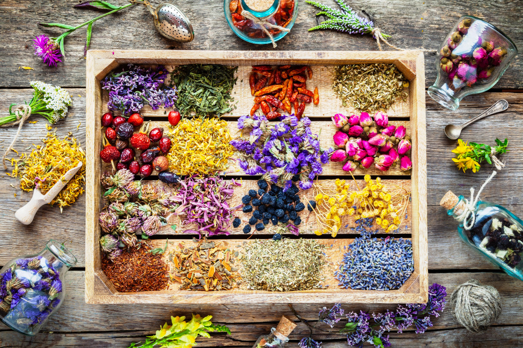 Healing Herbs jigsaw puzzle in Flowers puzzles on TheJigsawPuzzles.com