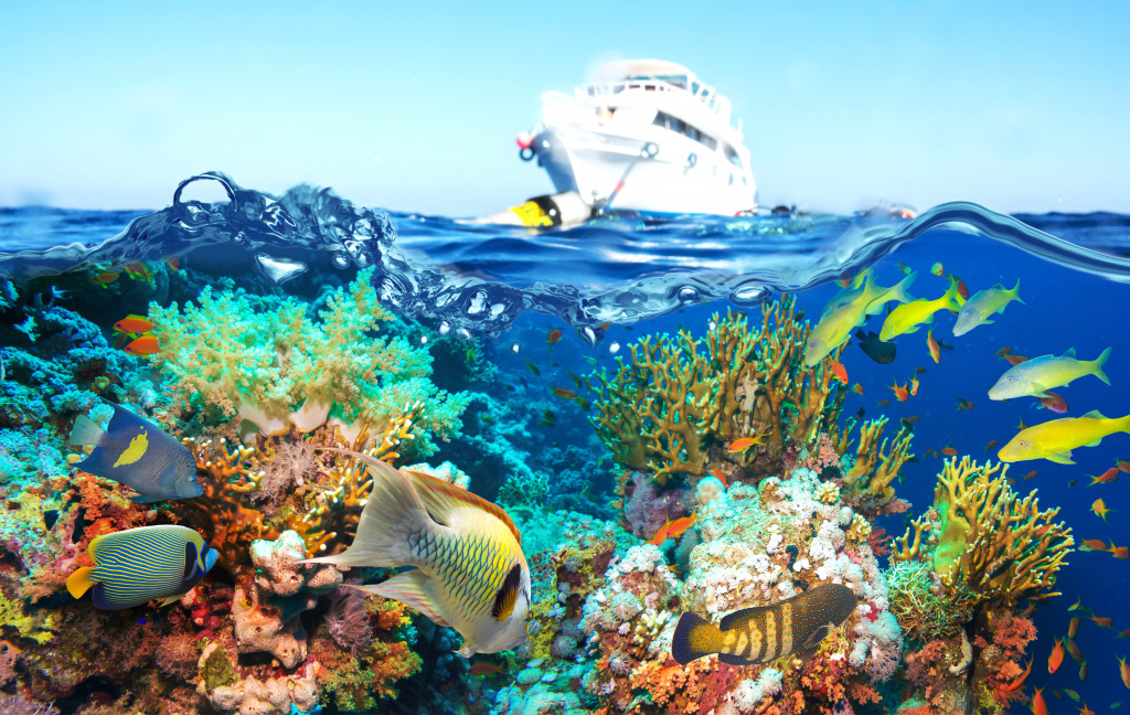 Offshore Rocky Reef jigsaw puzzle in Under the Sea puzzles on TheJigsawPuzzles.com