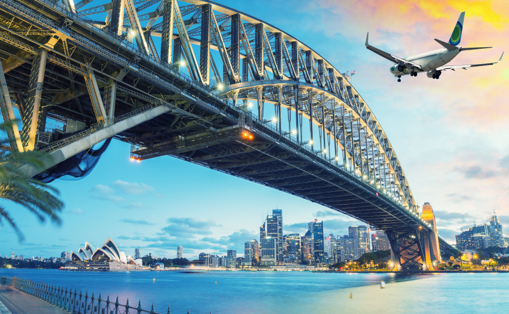 Passenger Airplane Over Sydney jigsaw puzzle in Aviation puzzles on TheJigsawPuzzles.com