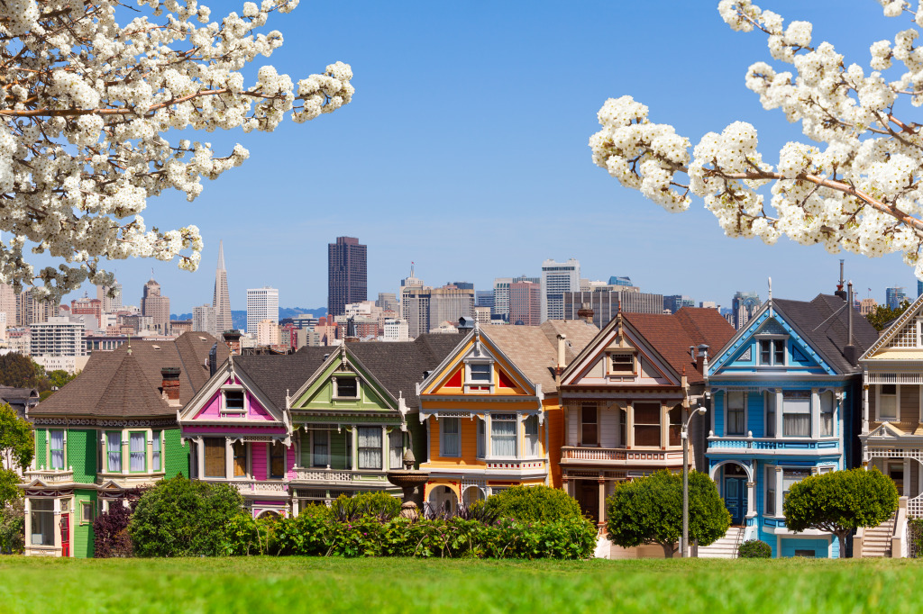 Painted Ladies in San Francisco jigsaw puzzle in Puzzle of the Day puzzles on TheJigsawPuzzles.com