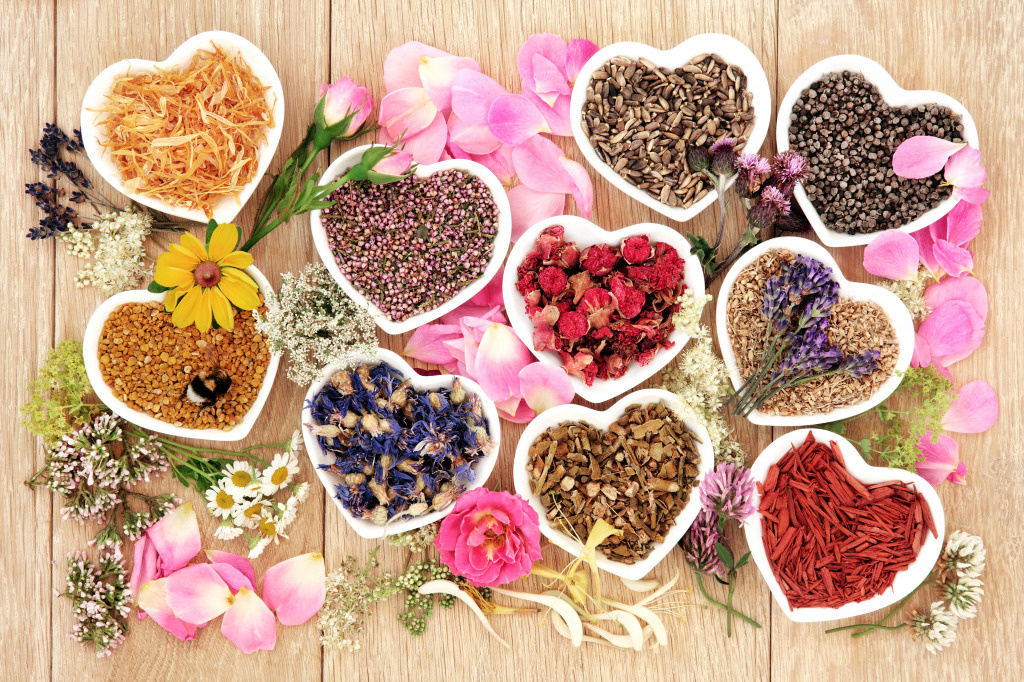 Healing Herbs and Flowers jigsaw puzzle in Puzzle of the Day puzzles on TheJigsawPuzzles.com