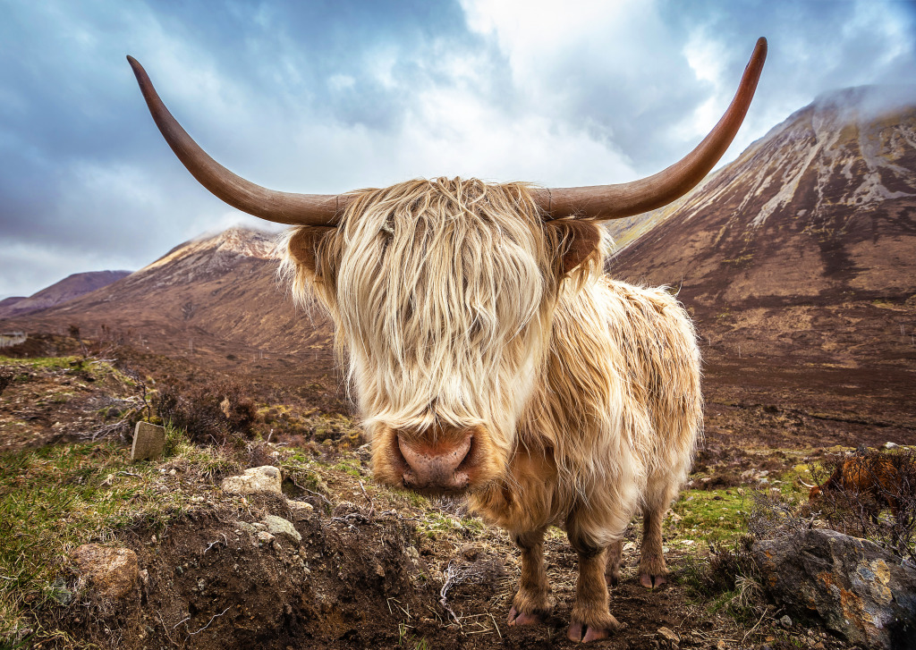 Glamaig Mountains of Scotland jigsaw puzzle in Animals puzzles on TheJigsawPuzzles.com