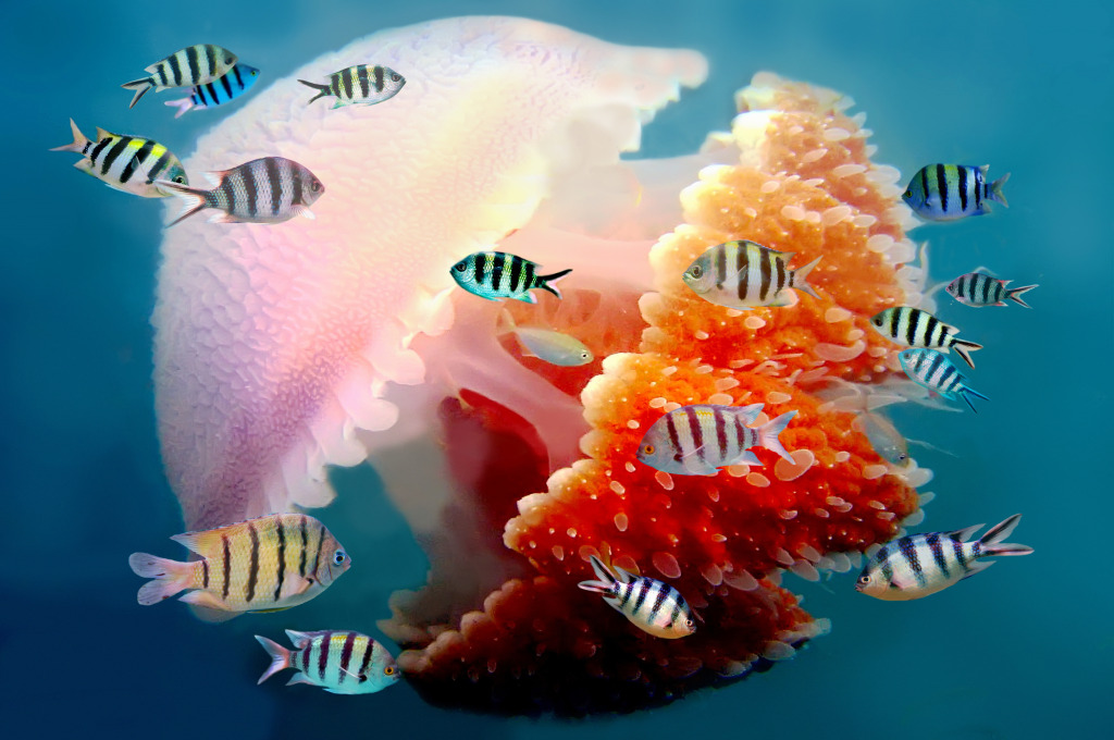 Fish and Mosaic Jellyfish jigsaw puzzle in Animals puzzles on TheJigsawPuzzles.com