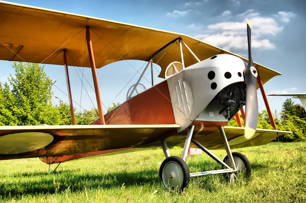 Old Biplane jigsaw puzzle in Aviation puzzles on TheJigsawPuzzles.com