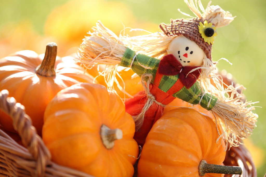 Scarecrow and Pumpkins jigsaw puzzle in Macro puzzles on TheJigsawPuzzles.com