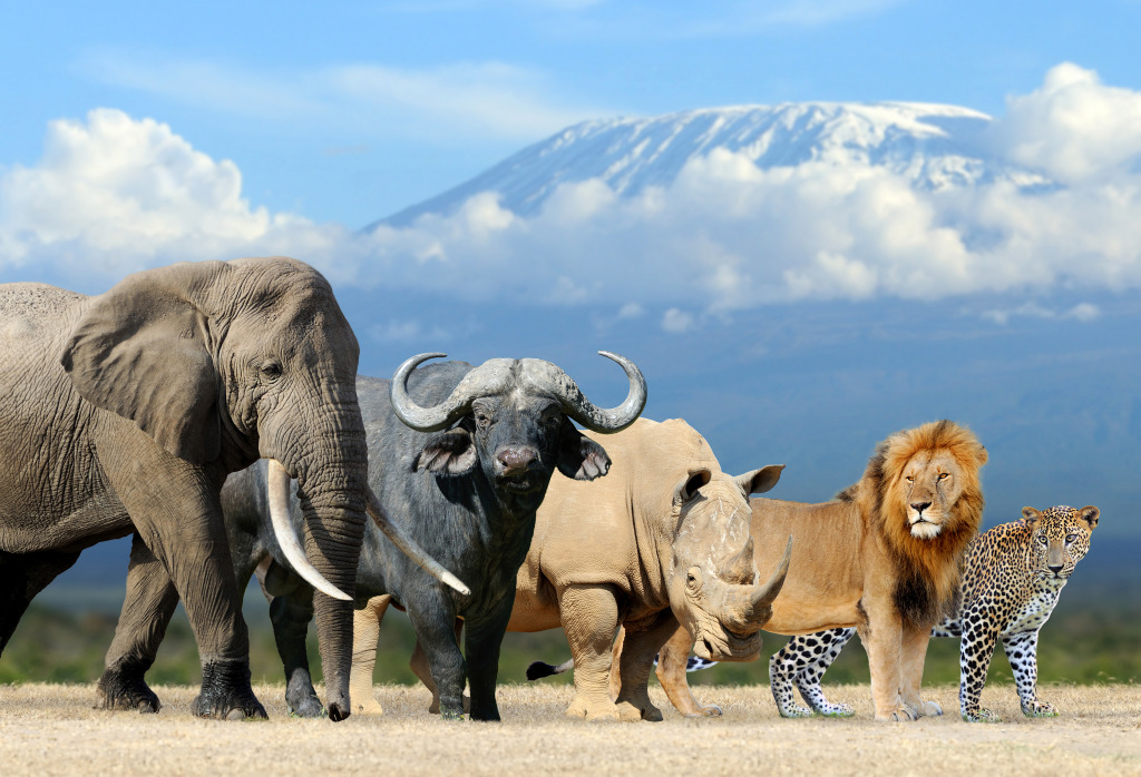 Big Five Africa jigsaw puzzle in Animals puzzles on TheJigsawPuzzles.com