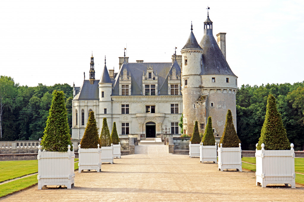 Château de Chenonceau, France jigsaw puzzle in Castles puzzles on TheJigsawPuzzles.com