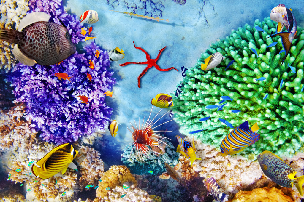 Beautiful Underwater World jigsaw puzzle in Under the Sea puzzles on TheJigsawPuzzles.com