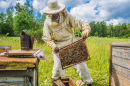 Beekeeper