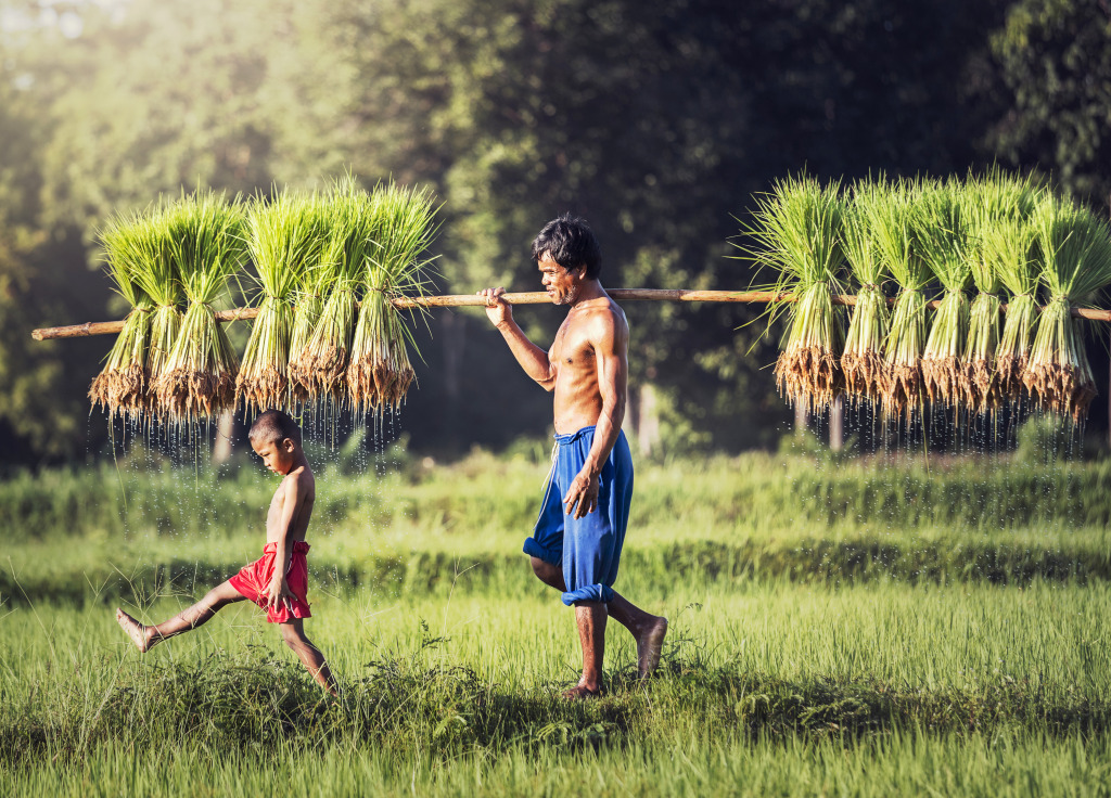 Thai Rice Farmer with Son jigsaw puzzle in People puzzles on TheJigsawPuzzles.com