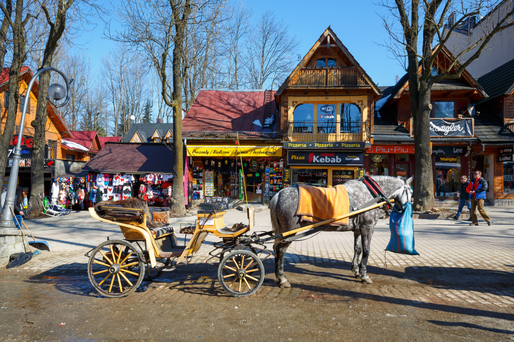 Zakopane, Poland jigsaw puzzle in Street View puzzles on TheJigsawPuzzles.com