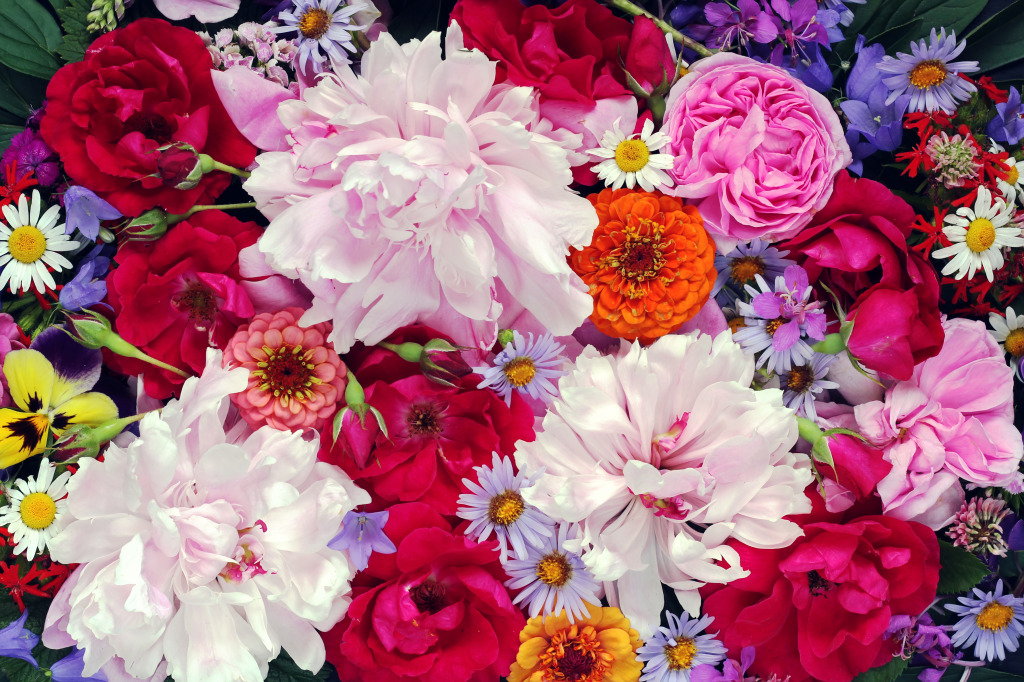 Pink Peonies and Red Roses jigsaw puzzle in Flowers puzzles on TheJigsawPuzzles.com