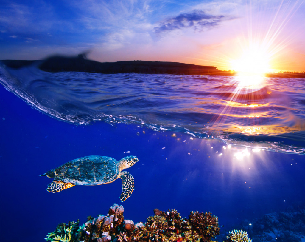 Sea Turtle jigsaw puzzle in Under the Sea puzzles on TheJigsawPuzzles.com