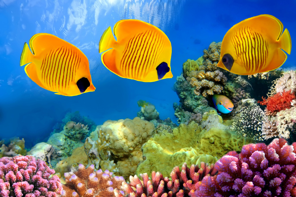 Masked Butterflyfish jigsaw puzzle in Under the Sea puzzles on TheJigsawPuzzles.com