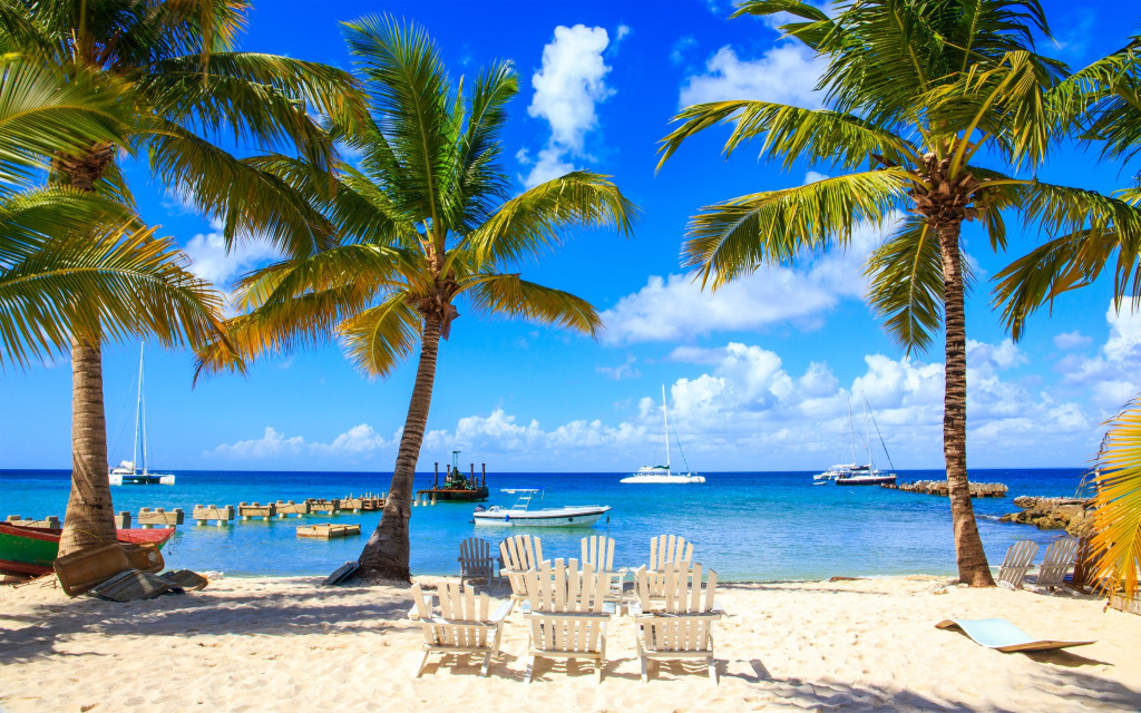 Saona Island, Dominican Republic jigsaw puzzle in Great Sightings puzzles on TheJigsawPuzzles.com