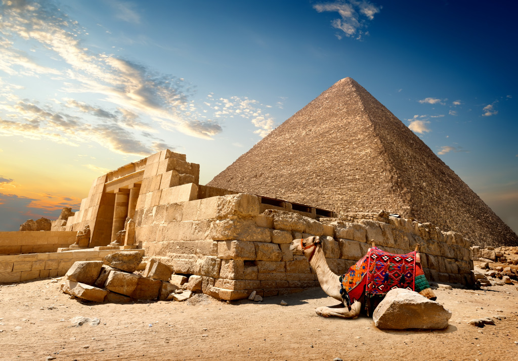Camel Resting near the Pyramid jigsaw puzzle in Animals puzzles on TheJigsawPuzzles.com