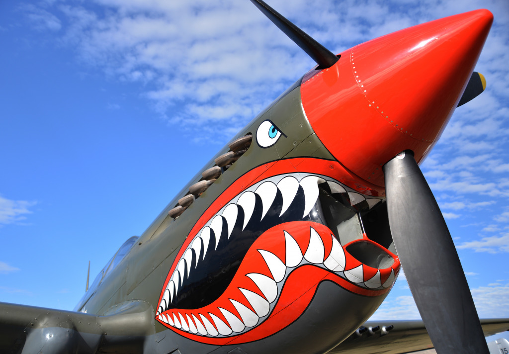 Curtiss P-40 Kittyhawk jigsaw puzzle in Aviation puzzles on TheJigsawPuzzles.com