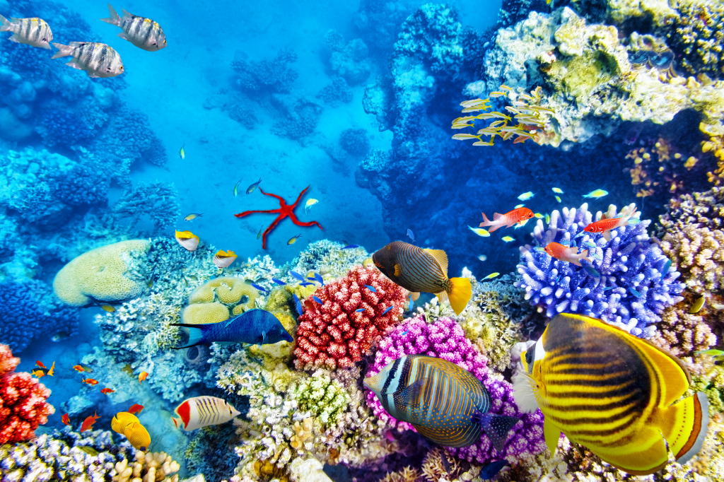 Wonderful Underwater World jigsaw puzzle in Under the Sea puzzles on TheJigsawPuzzles.com