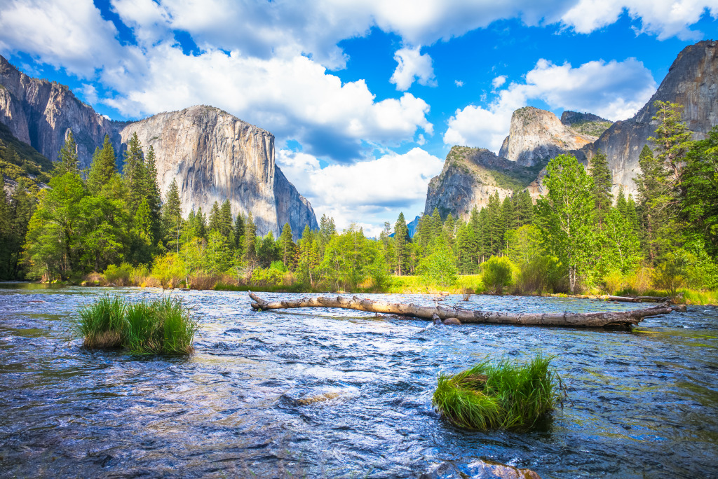 Yosemite National Park jigsaw puzzle in Great Sightings puzzles on TheJigsawPuzzles.com