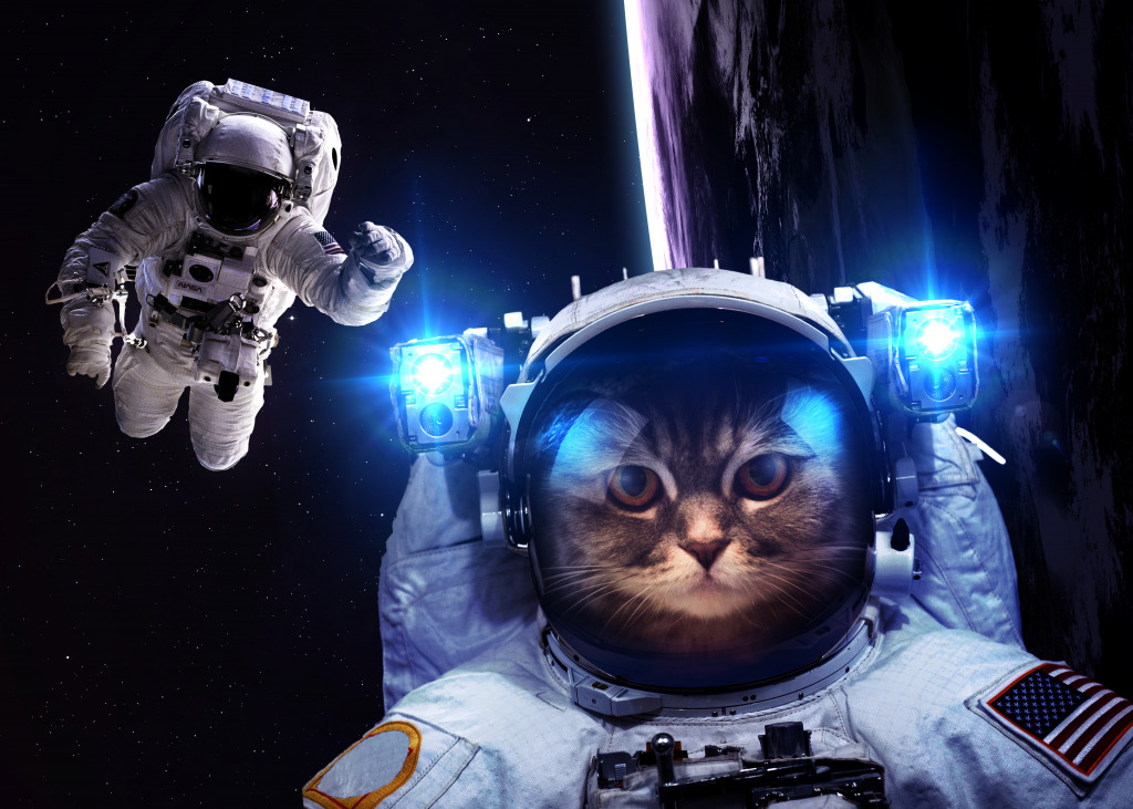 Astronaut Cat jigsaw puzzle in Puzzle of the Day puzzles on TheJigsawPuzzles.com