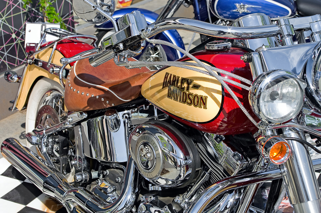 Harley-Davidson jigsaw puzzle in Cars & Bikes puzzles on TheJigsawPuzzles.com