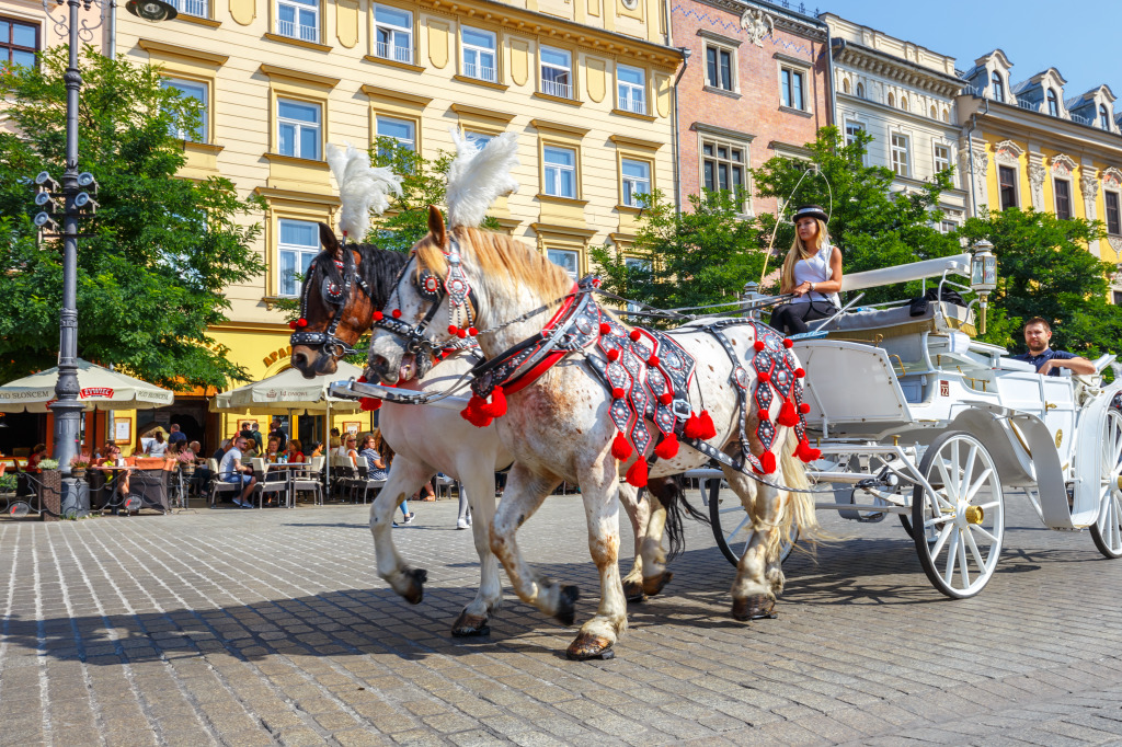 Horse Carriages in Krakow, Poland jigsaw puzzle in Animals puzzles on TheJigsawPuzzles.com
