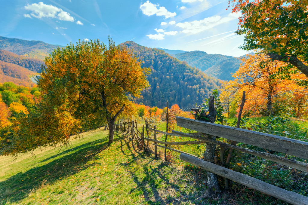 Transylvania Mountain Landscape, Romania jigsaw puzzle in Great Sightings puzzles on TheJigsawPuzzles.com