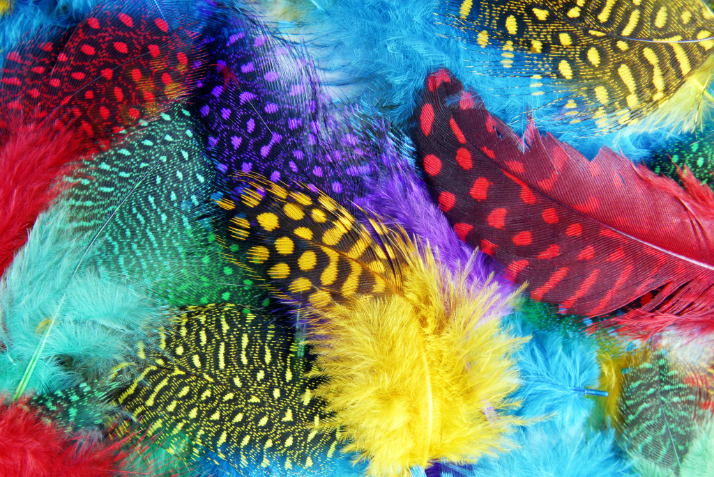 Colored Feathers jigsaw puzzle in Macro puzzles on TheJigsawPuzzles.com