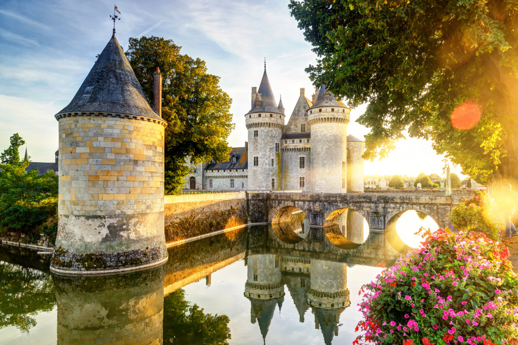 Chateau Sully-Sur-Loire, France jigsaw puzzle in Castles puzzles on TheJigsawPuzzles.com