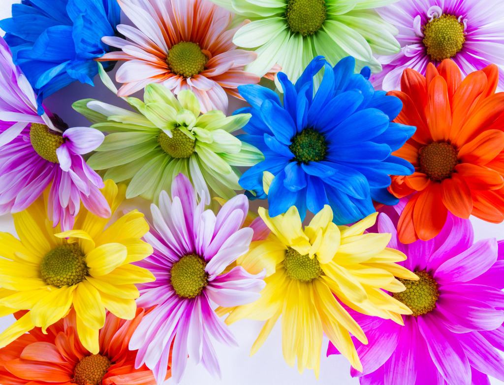 Colorful Spring Flowers jigsaw puzzle in Macro puzzles on TheJigsawPuzzles.com