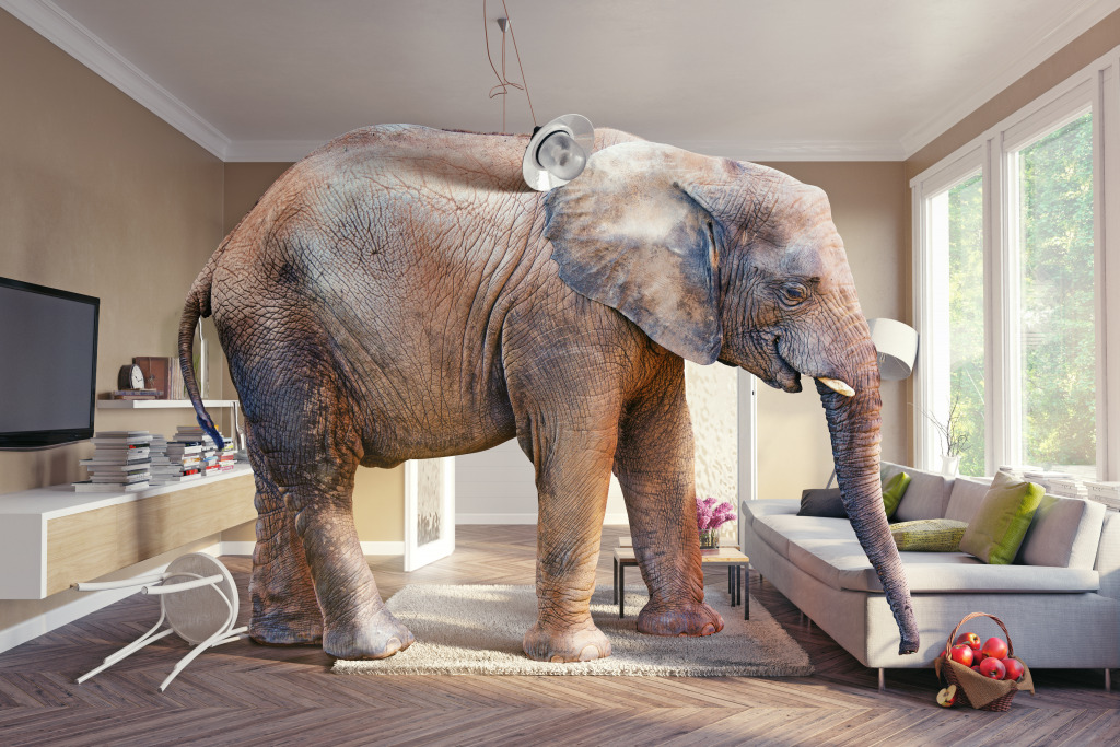 Elephant in the Room jigsaw puzzle in Animals puzzles on TheJigsawPuzzles.com