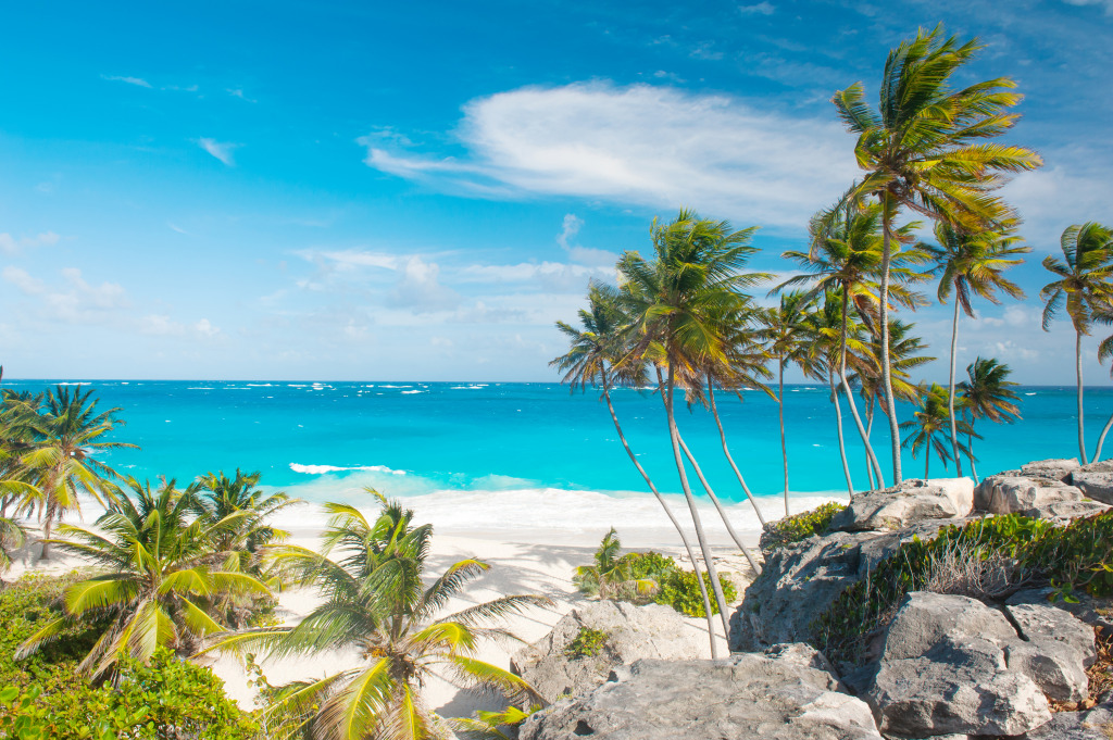 Bottom Bay Beach, Island of Barbados jigsaw puzzle in Great Sightings puzzles on TheJigsawPuzzles.com