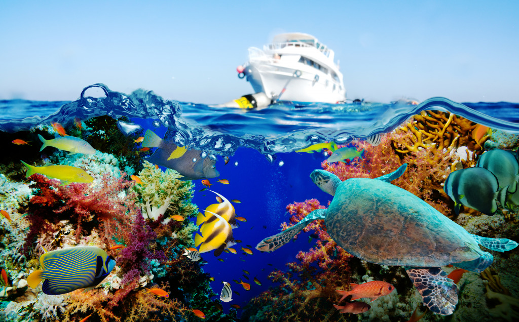 Offshore Rocky Reef jigsaw puzzle in Under the Sea puzzles on TheJigsawPuzzles.com
