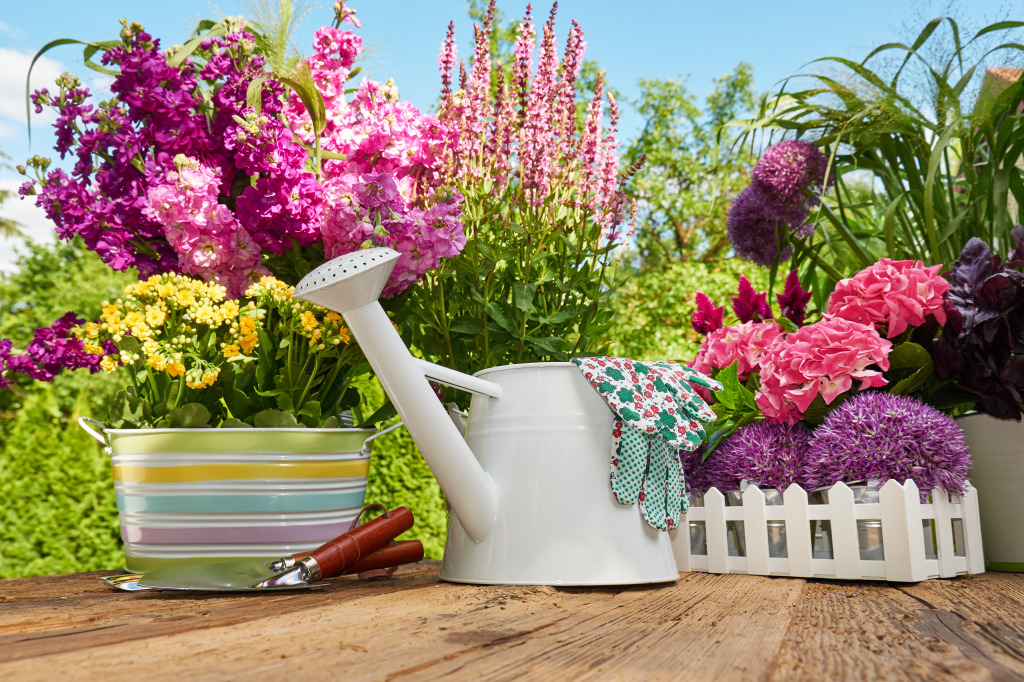 In the Garden jigsaw puzzle in Puzzle of the Day puzzles on TheJigsawPuzzles.com
