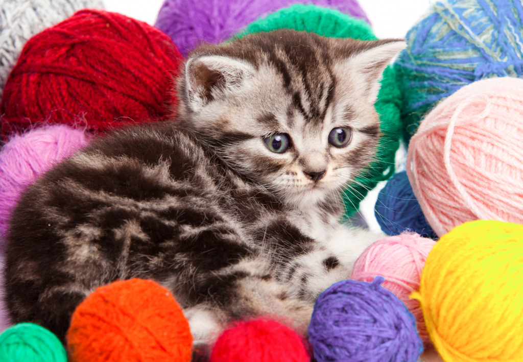 Kitten with Balls of Yarn jigsaw puzzle in Animals puzzles on TheJigsawPuzzles.com
