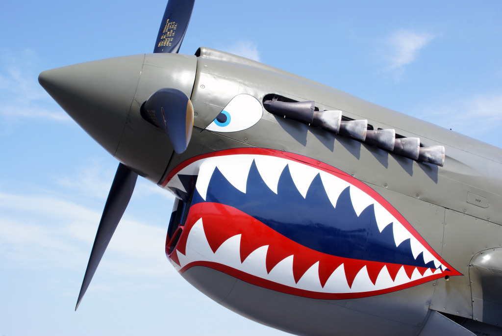 P-40 Warhawk Built in 1941 jigsaw puzzle in Aviation puzzles on TheJigsawPuzzles.com
