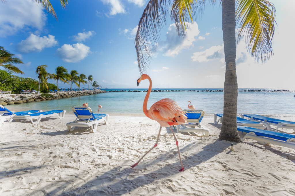 Three Flamingos on the Beach jigsaw puzzle in Animals puzzles on TheJigsawPuzzles.com