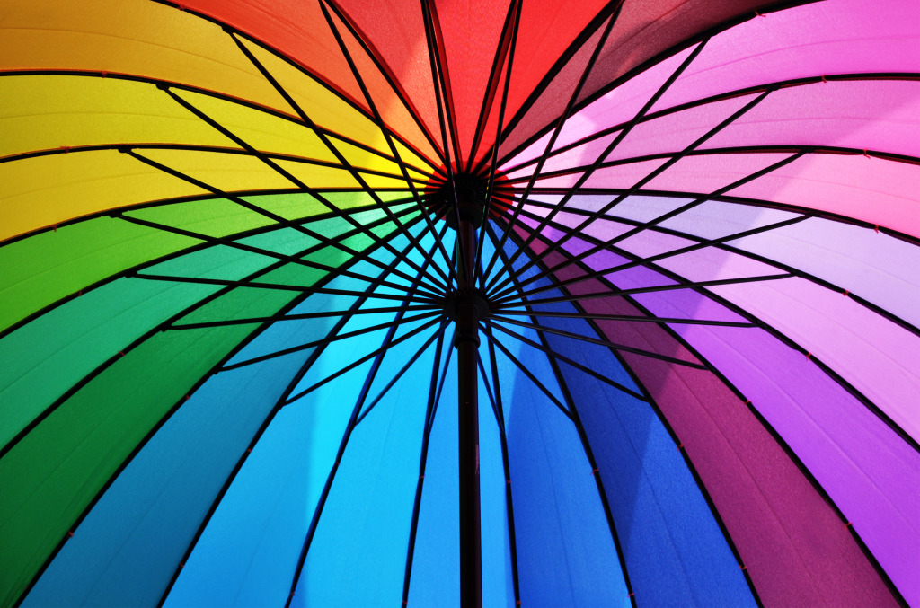 Rainbow Umbrella jigsaw puzzle in Macro puzzles on TheJigsawPuzzles.com