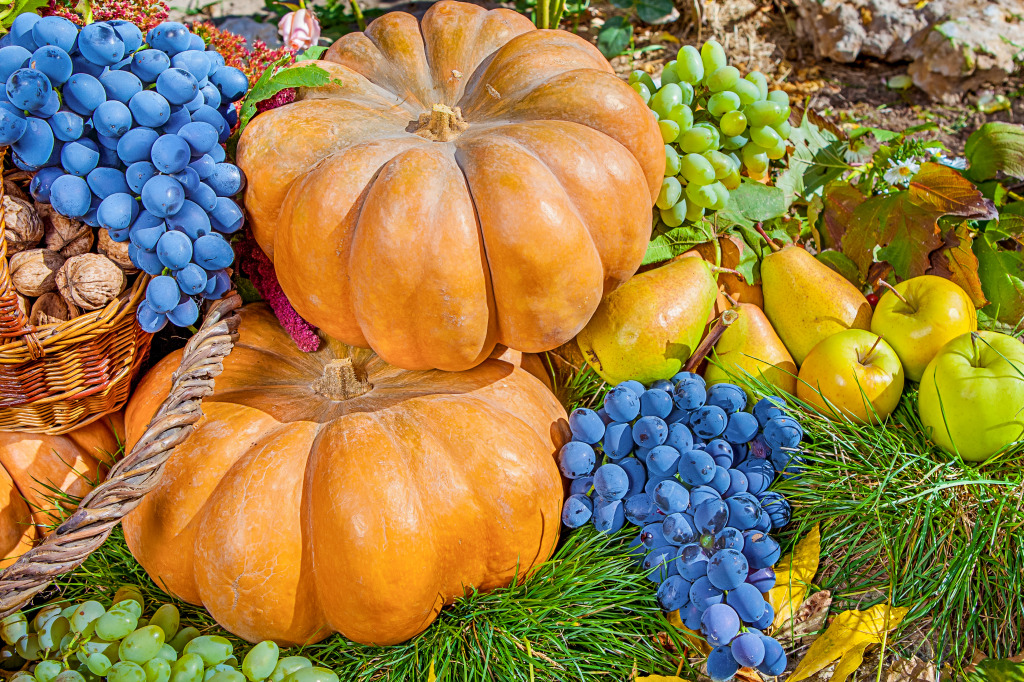 Autumn Harvest jigsaw puzzle in Fruits & Veggies puzzles on TheJigsawPuzzles.com