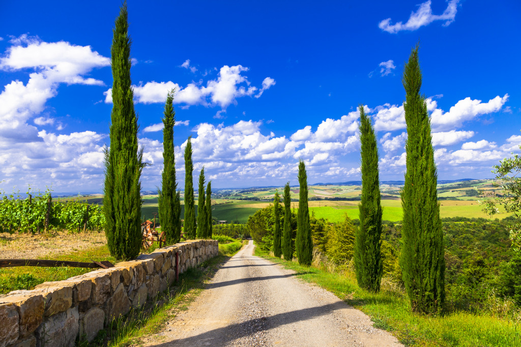 Alley with Cypresses, Tuscany, Italy jigsaw puzzle in Great Sightings puzzles on TheJigsawPuzzles.com