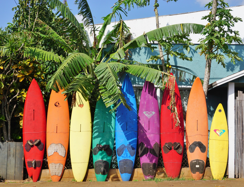 Colorful Surfboards, Paia, Hawaii jigsaw puzzle in Puzzle of the Day puzzles on TheJigsawPuzzles.com