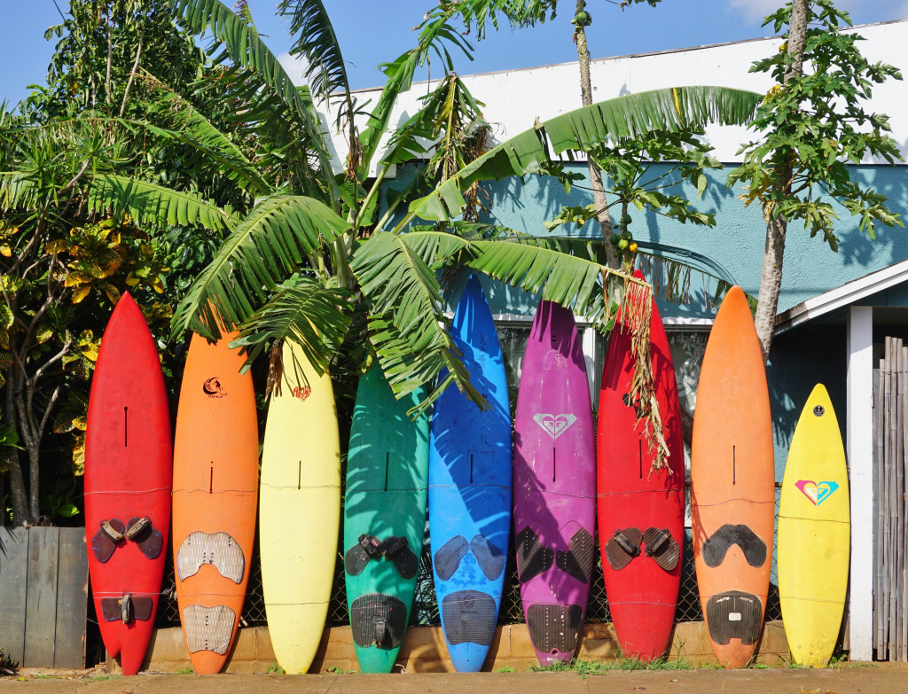 Colorful Surfboards, Paia, Hawaii jigsaw puzzle in Puzzle of the Day puzzles on TheJigsawPuzzles.com
