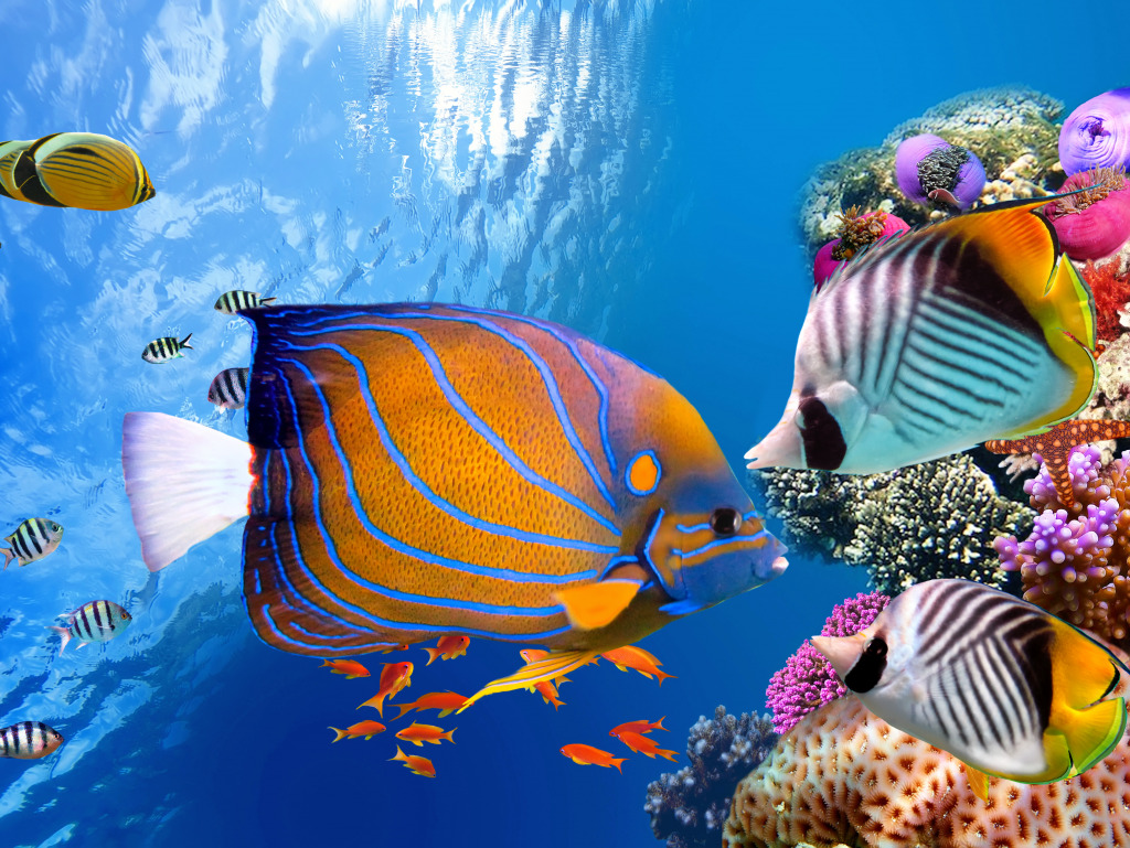 Underwater World With Corals and Tropical Fish jigsaw puzzle in Under the Sea puzzles on TheJigsawPuzzles.com