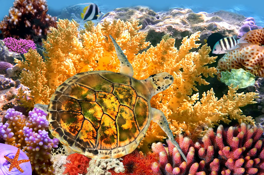 Butterfly Fish and Turtle jigsaw puzzle in Under the Sea puzzles on TheJigsawPuzzles.com