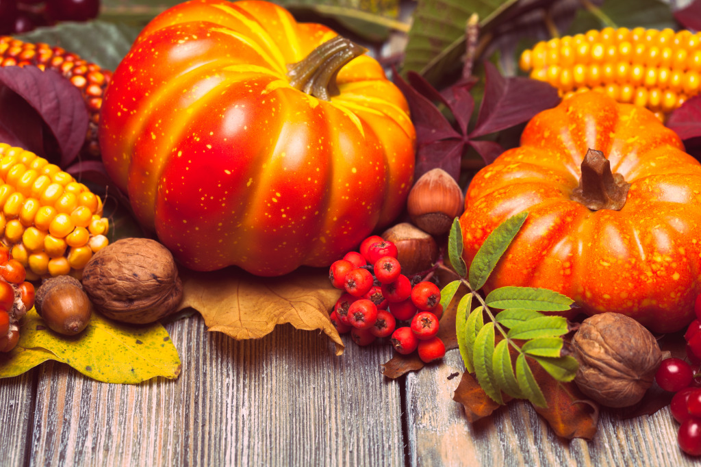 Autumn Still Life jigsaw puzzle in Fruits & Veggies puzzles on TheJigsawPuzzles.com