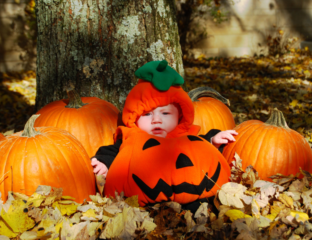 Cute Pumpkin Costume jigsaw puzzle in Halloween puzzles on TheJigsawPuzzles.com